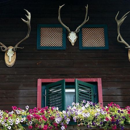 Hôtel Angerer Alm à St. Johann in Tirol Extérieur photo